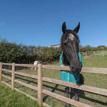 Hare's Hill * Pickering