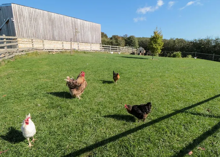 Hare's Hill Ferienhaus *