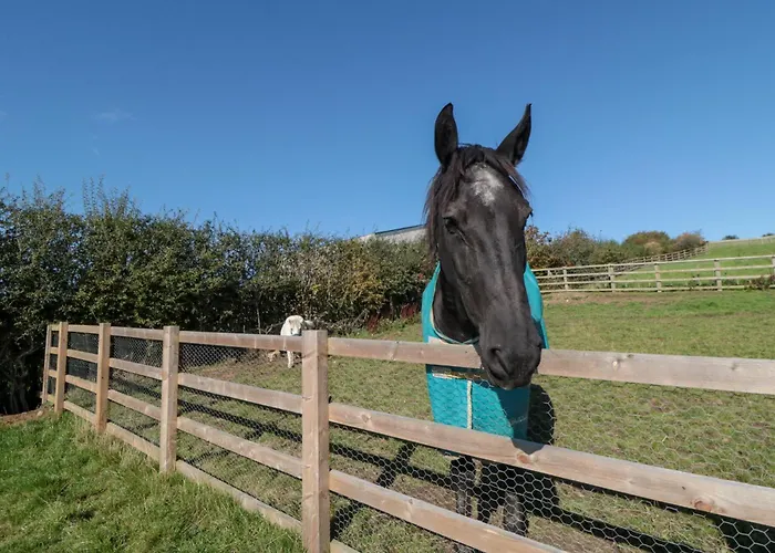 Hare's Hill * Pickering