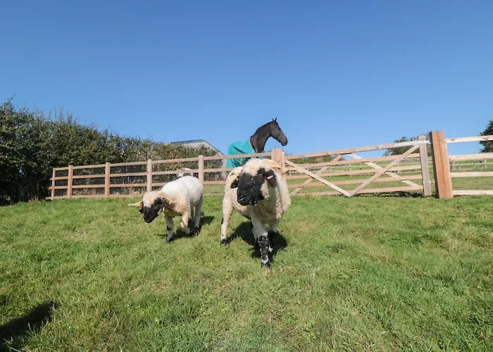 Hare's Hill Ferienhaus